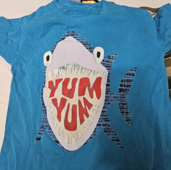 Boys Size 8(medium) Lot Of 11 Shirts Assorted Styles! - Picture 2 of 6